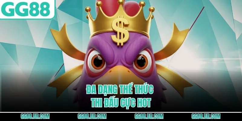 Đa dạng thể thức thi đấu cực hot