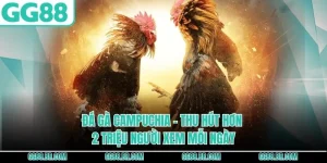 Đá Gà Campuchia - Thu Hút Hơn 2 Triệu Người Xem Mỗi Ngày