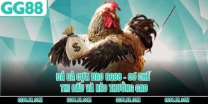 Đá Gà Cựa Dao GG88 - Cơ Chế Thi Đấu Và Kèo Thưởng Cao