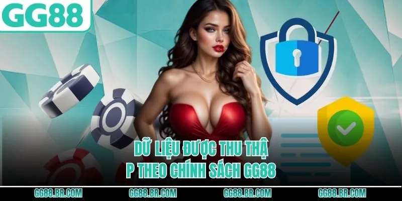 Dữ liệu được thu thập theo chính sách GG88