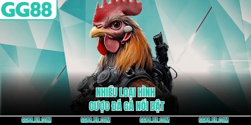 Nhiều loại hình cược đá gà nổi bật